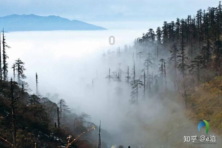 跑车炸街违法吗？